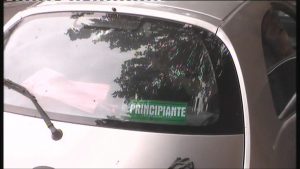 Principiantes 1