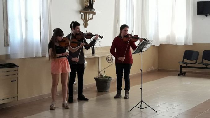 Violin