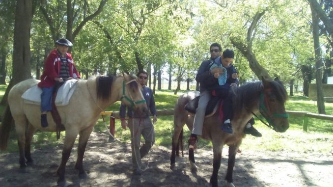 Ecuestre