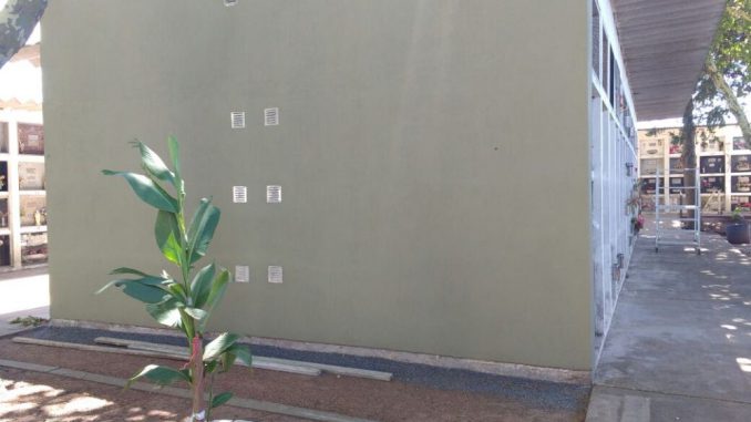 Cementerio 1