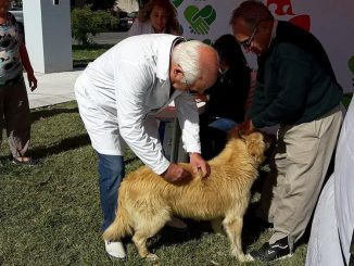 Vacunacion Antirrabica a