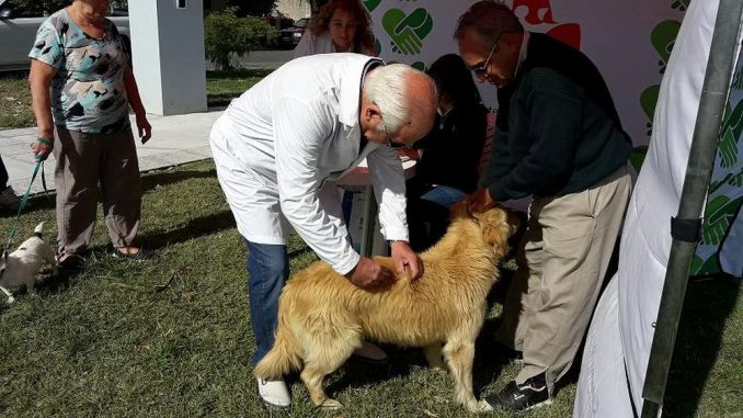 Vacunacion Antirrabica a