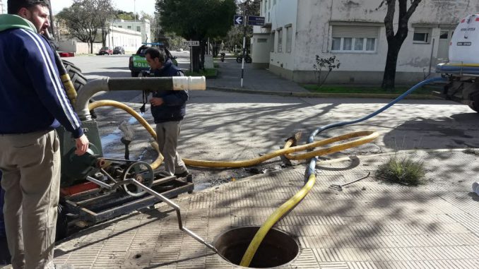 Cloaca 1
