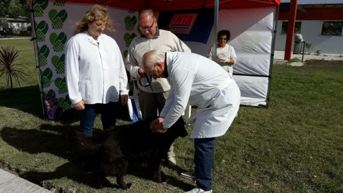Vacunacion Antirrabica 3