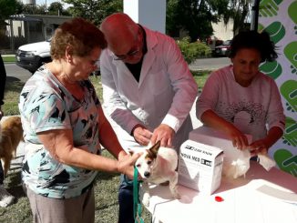 Vacunacion Antirrabica