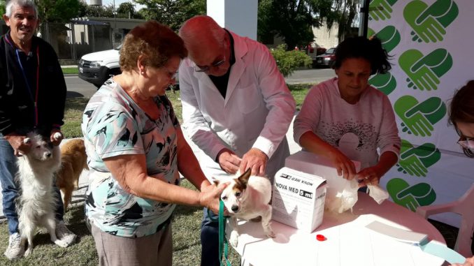 Vacunacion Antirrabica