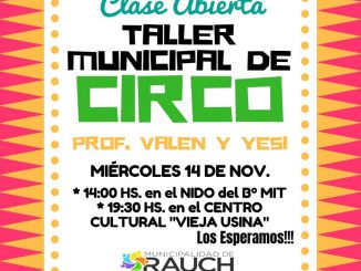 Taller Circo