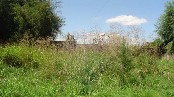 Desmalezar
