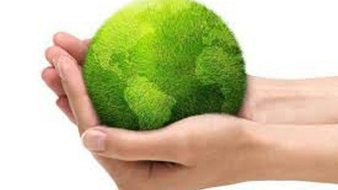Dia Mundial del Ambiente