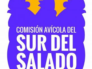 Comision Al Sur del Salado