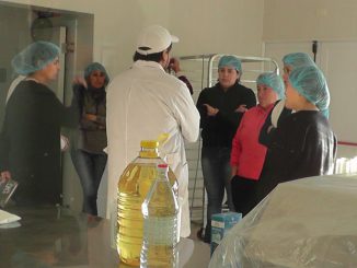 Curso Conservas