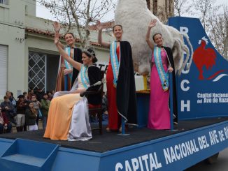 Desfile (21)