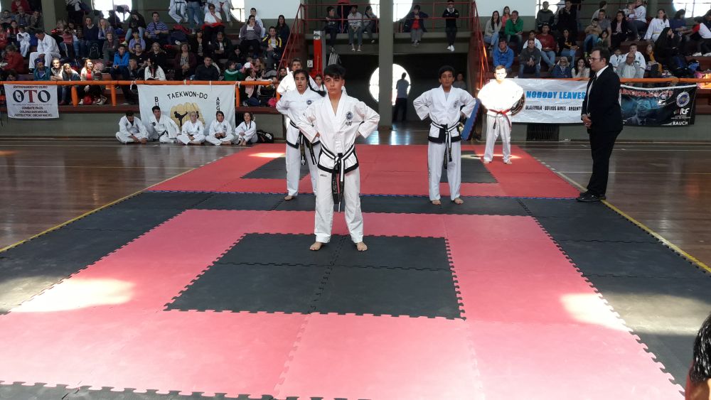 Taekwondo 5