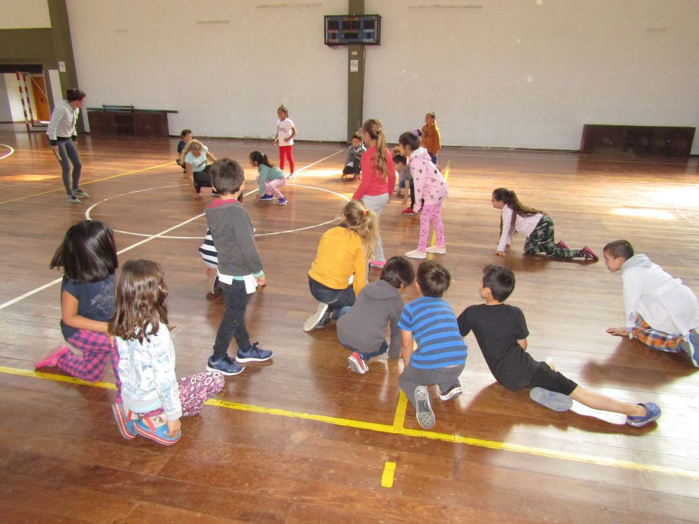 Programa CCCC (3)