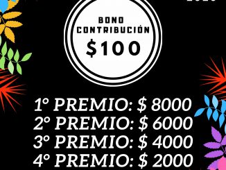 Carnavales 2020 - bono contribución
