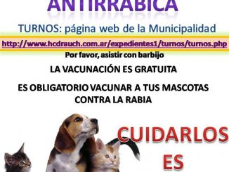 Campaña Antirrabica