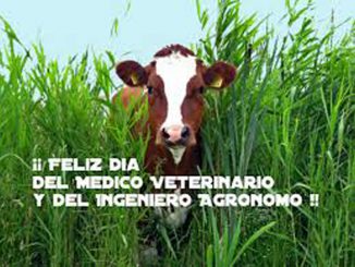 Medico Veterinario - Ingenieros Agronomos