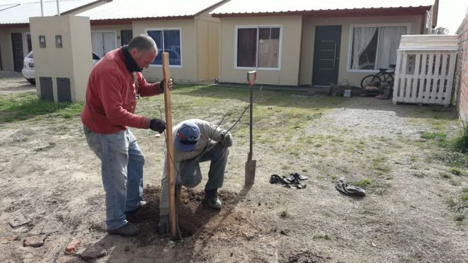 Construccion en Seco (7)