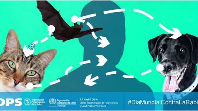 Dia Mundial contra la Rabia