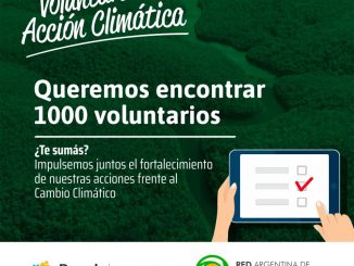 1000 Voluntario