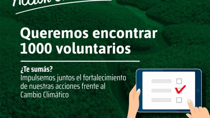 1000 Voluntario