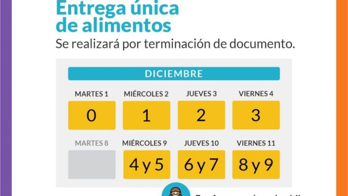 Entrega Unica diciembre