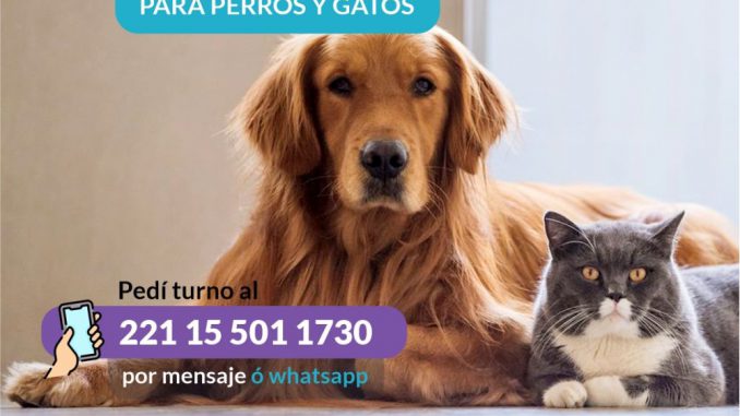 Castraciones