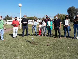 Arbol Concejales (9)