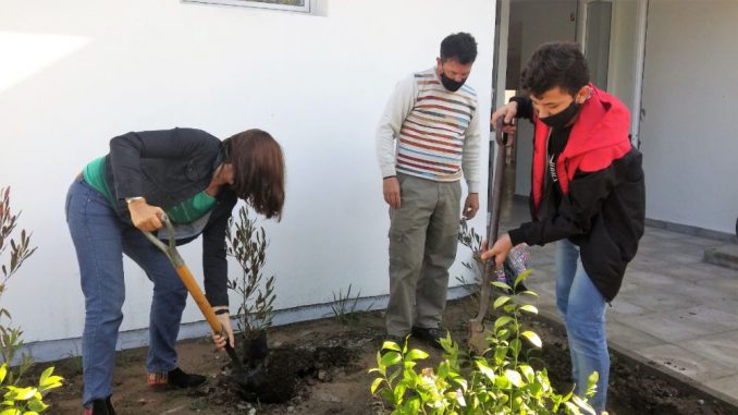 Arbol - Escuela Secundaria 2 (2)