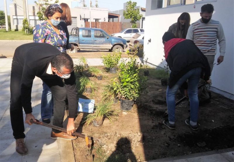 Arbol - Escuela Secundaria 2 (3)