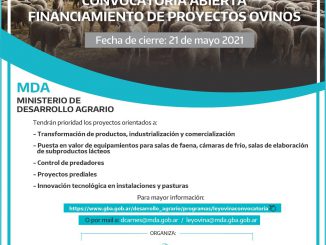 Proyecto Ovinos