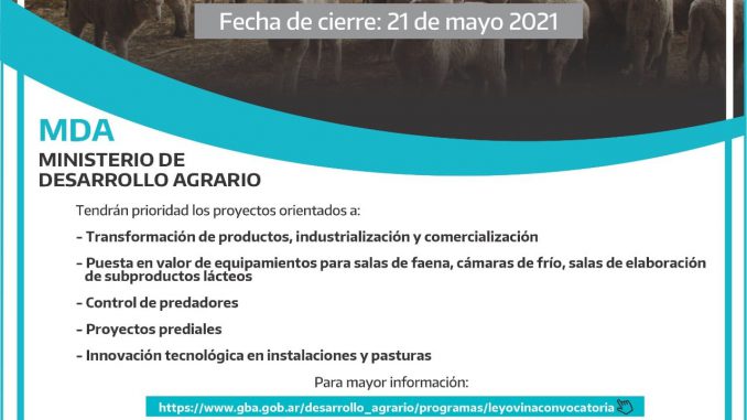 Proyecto Ovinos