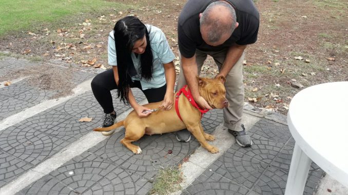 Vacunacion