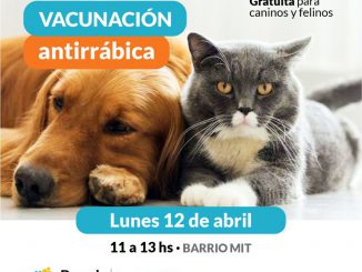 Vacunacion antirrabica