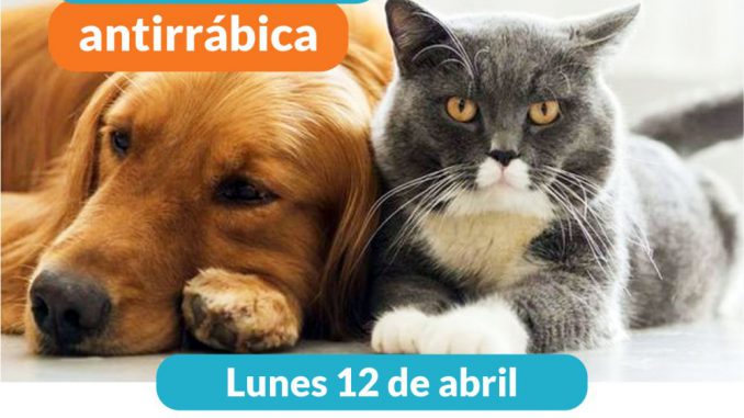 Vacunacion antirrabica