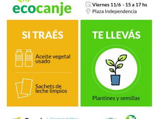 Ecocanje