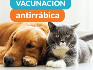 Campaña de Vacunacion 5-7 1