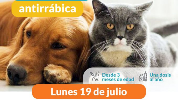 Vacunacion Antirrabica Botafogo