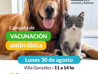 Vacunacion Antirrabica 30 de agosto