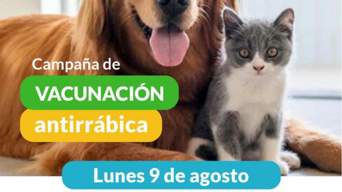 Vacunacion Antirrabica 9-8