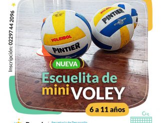 Minivoley