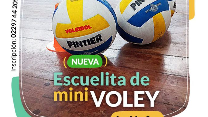 Minivoley