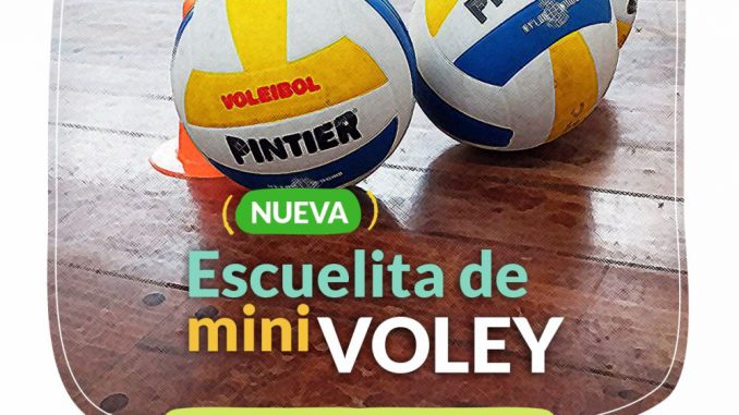 escuelita de voley completa