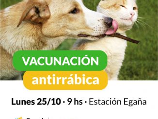 Vacunacion Antirrabica