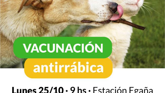 Vacunacion Antirrabica