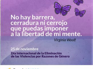 Dia de la Eliminacion de las Violencias por razones de género