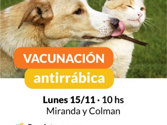 Vacunacion Antirrabica