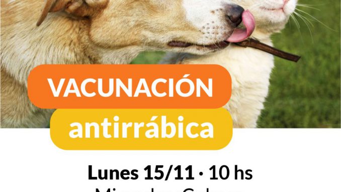 Vacunacion Antirrabica
