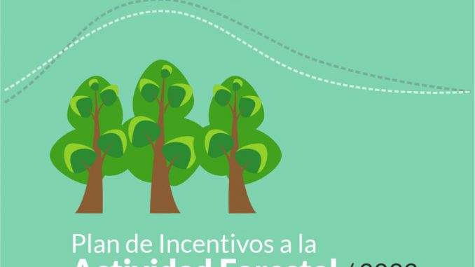 cortinas forestales