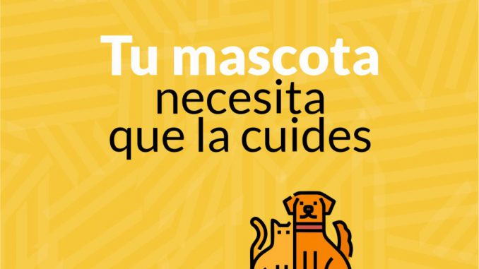 Mascotas